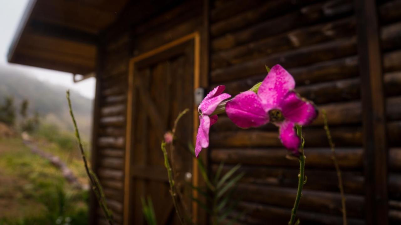 Finca Las Huellas: Cabana Acogedora En La Montana Villa Estrella Exterior photo